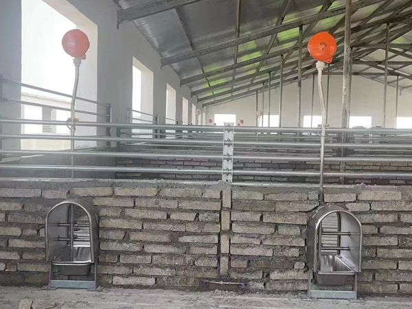 防粪饮水盆