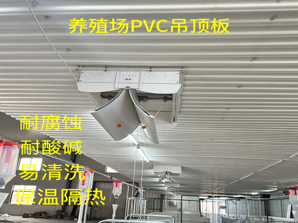 猪场PVC吊顶板