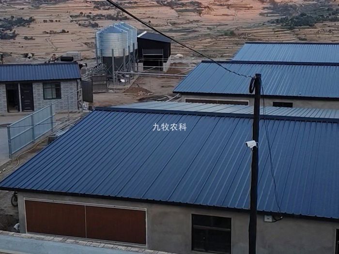 甘肃镇原县3000头育肥猪场