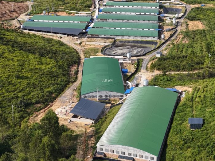 湖南永州11000头育肥猪场