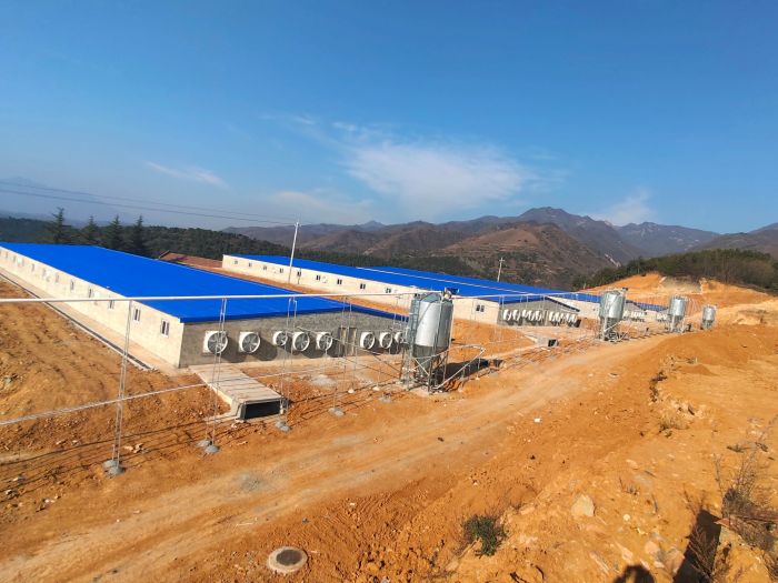 河南灵宝7000头育肥猪场