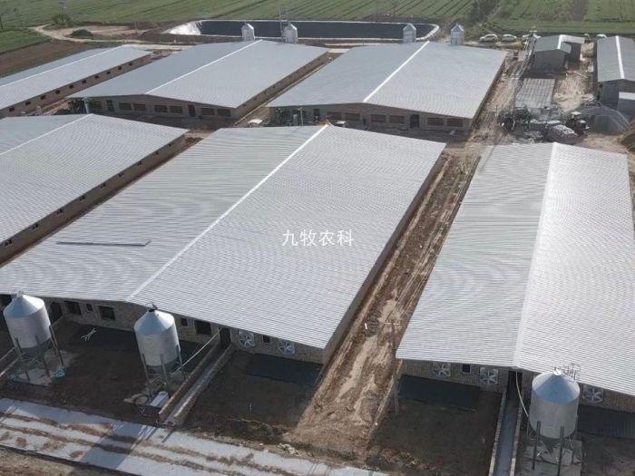 山西运城8000头育肥猪场