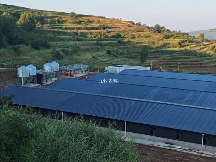 甘肃天水4000头育肥猪场