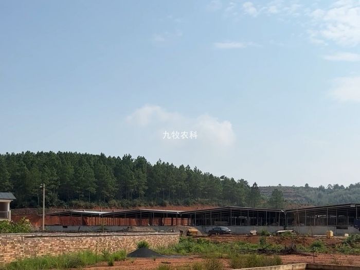 湖南冷水滩7000头育肥猪场