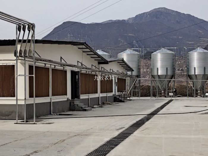 甘肃陇南4000头育肥猪场