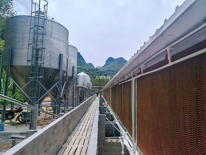 广西桂林4000头育肥猪场