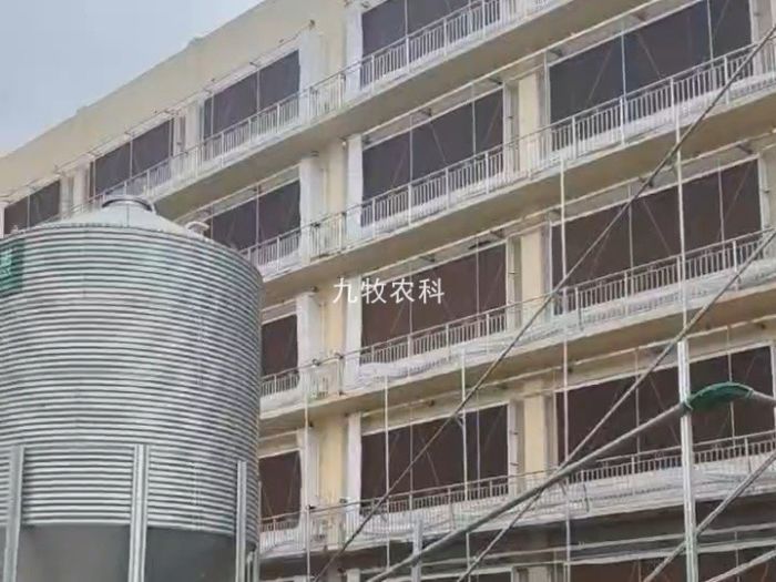 湖南浏阳6层楼房猪场
